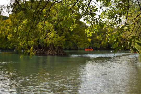 Lago de Camecuaro con árboles y un bote