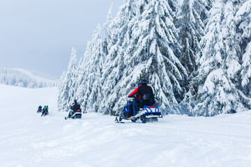 Snowmobiles and forest, mountain