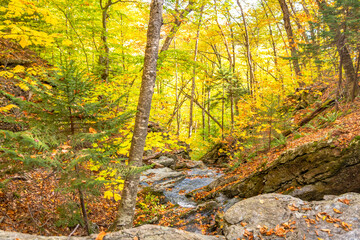 Boulders and a small stream run through the forests around Mount Greylock, MA