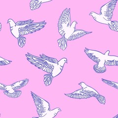 Seamless pattern with painted doves on a pink background. Vector illustration
