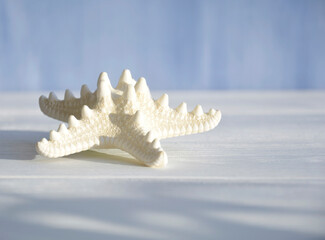 White starfish on a 2d blue background with shadows and place for text. Layout.