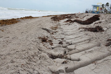 Sandy tractor tracks 