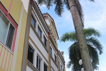 Fototapeta na wymiar Low angle architecture and palm tree