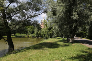Summer landscape. The lake in the park. Ukraine