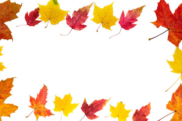 Closed frame from autumn colorful leaves of different types on a white background.