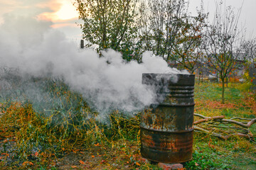 Fototapeta na wymiar Autumn activity in garden, burning leaves, branches and dry grass in a old rusty barrel. Air pollution from farmers in the countryside