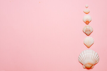 On a pink background laid out seashells, the mention of rest