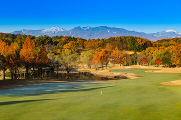 日本　早朝で朝霜の紅葉のゴルフ場と雪山
