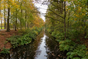 Fototapete Rund river in autumn forest © Annemarie