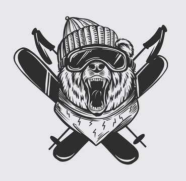 Bear skier. Snowboard. Ski resort emblem, print design