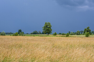 Rural area of Mazowsze region in Poland