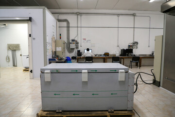 La risposta al virus