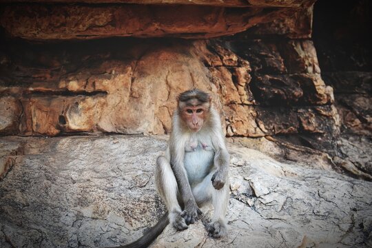 Manky Bilder Durchsuchen 190 Archivfotos, und Videos