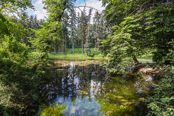 Pond in Skaryszewski Park - monumental park in the Praga Poludnie district of Warsaw, capital city of Poland
