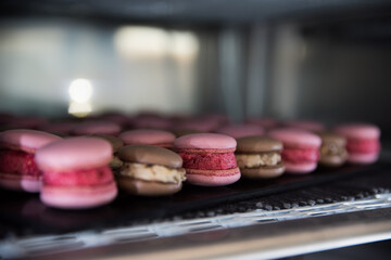 luxury macarons in the fridge