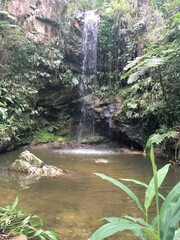 waterfall in the forest