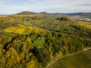 Rows of wine in autumn - vineyards in fall colors in Metzingen near Stuttgart, Germany, starting...