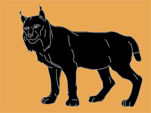 recommend clip art: isolated image lynx, drawing, silhouette,