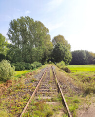 Fototapeta na wymiar Verlassen Bahnstreck im Sommer führt an einem Feld vorbei in einen Wald