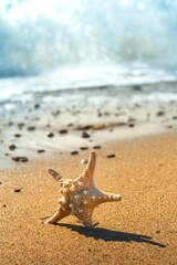 Starfish on a Beach