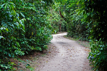 Trail at "Bosque da Freguesia" (Freguesia Forest Public Park)