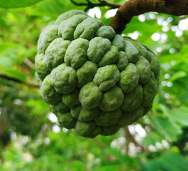 Processed with VSCO with l4 preset