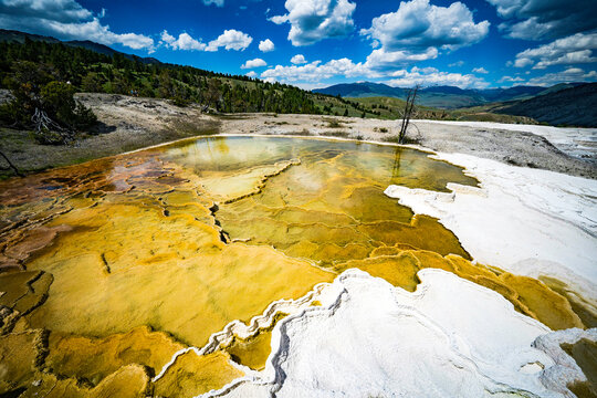 Mammoth Hot Springs Pool