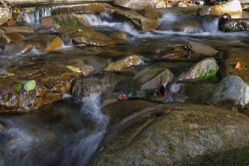 Long Exposure shot of water flowing into a stream. Carpathians, Ukraine.