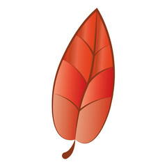 Dry autumn leaf. Autumn season - Vector illustration