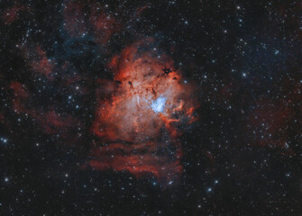 Nebulosa Orma  Fossile