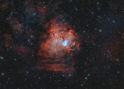 Nebulosa Orma  Fossile