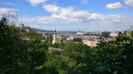 Fototapeta na wymiar Panoramic view of the Danube in Budapest