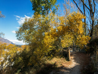 Tuckers Beach Trail, Queenstown Area, New Zealand