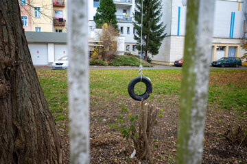 tire swing tree