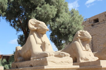 Close up look of the sphinx statues in front of Karnak Temple In Egypt