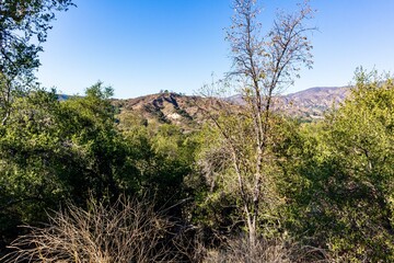Obraz premium Scenic Views of California Foothills in O'Neill Regional Park, Trabuco Canyon, Orange County, California 