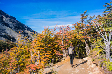 Torres del Paine National Park, Chile.