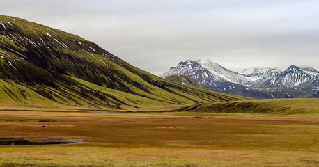 Green and yellow landscape with icy mountains in the background, Iceland
