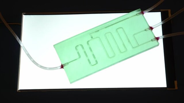Organ-on-a-chip (OOC) - microfluidic device chip that simulates biological organs that is type of artificial organ. Prototype of design lab-on-a-chip in microfluidic laboratory