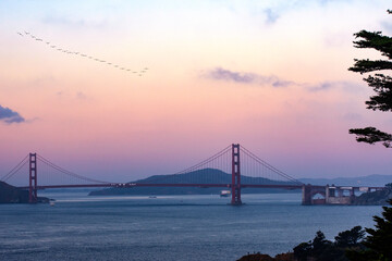 Ocean View with a view of the Golden Gate Bridge in San Francisco
