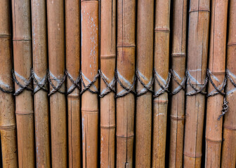 Bamboo fencing with criss cross binding