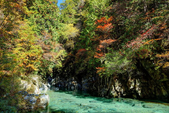 9 Best 阿寺渓谷 Images Stock Photos Vectors Adobe Stock