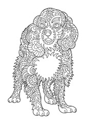 Cavalier king charles spaniel coloring page for adult and children.
