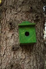 Bird house on the tree.
