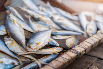 Close up of dried fish, Selective focus.