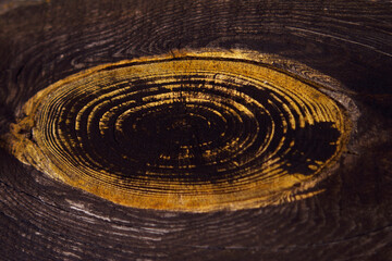 old wooden plank with golden drawing texture - close up, background