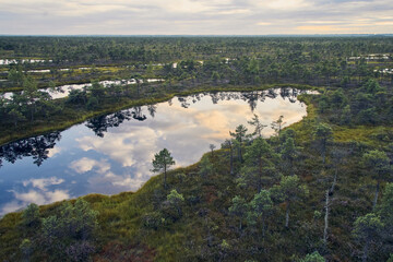 Raised bog, view from above. Kemeri National park in Latvia.