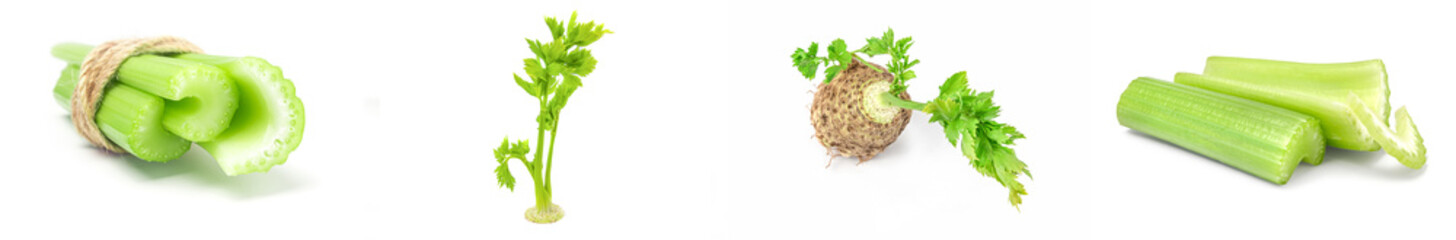 Set of celery on a background