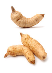  Fresh Gastrodia elata blume on white background