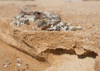 sand castle on the beach